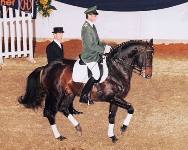 stallion Trend (Hanoverian, 1988, from Traumdeuter)