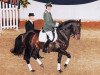 stallion Trend (Hanoverian, 1988, from Traumdeuter)