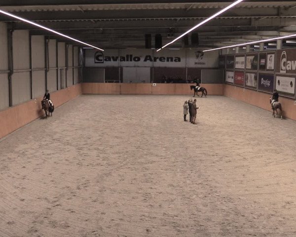 Reitturnier Güstrow/Cavallo Arena 2022