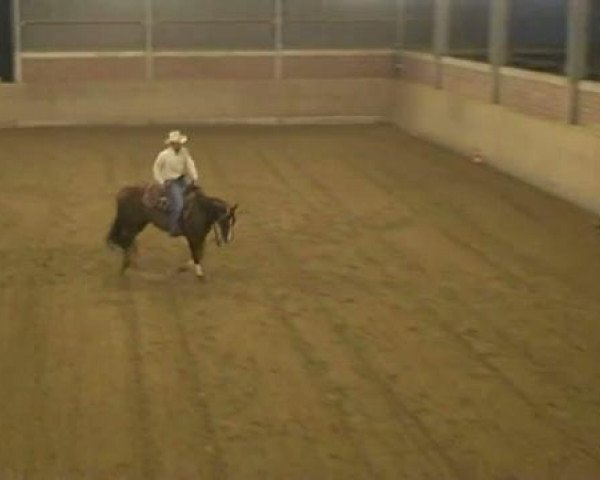 Pferd Mizzen Spook (Quarter Horse, 2007, von Smart Spook)