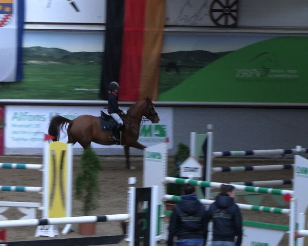 Legdener Ponymeeting 2022