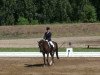 dressage horse Johnny Pony 2 (German Riding Pony, 2002, from Da Capo)