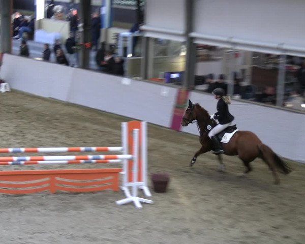 Legdener Ponymeeting 2022