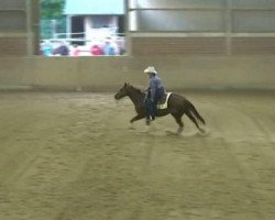 Pferd Train to Spain (Quarter Horse, 2002, von Nics Peppy Train)