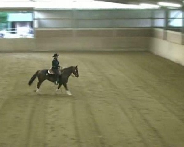 horse Broadways Whizper (Quarter Horse, 2004, from Broadway BH)