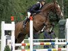 Springpferd Lord Lennox (Westfale, 2006, von Lux Z)