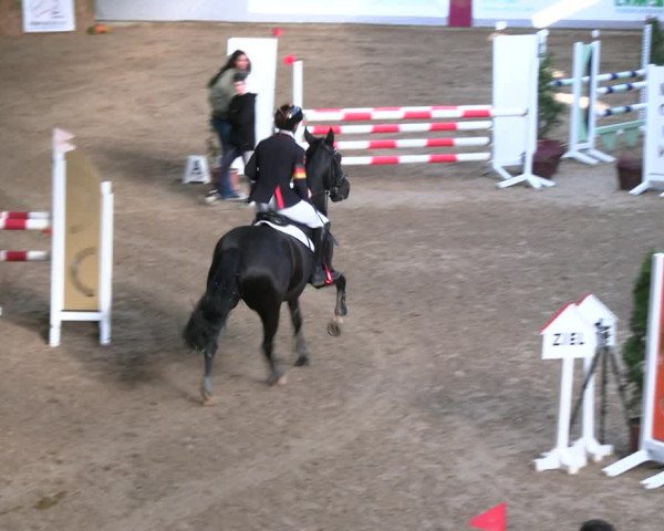 Legdener Ponymeeting 2022
