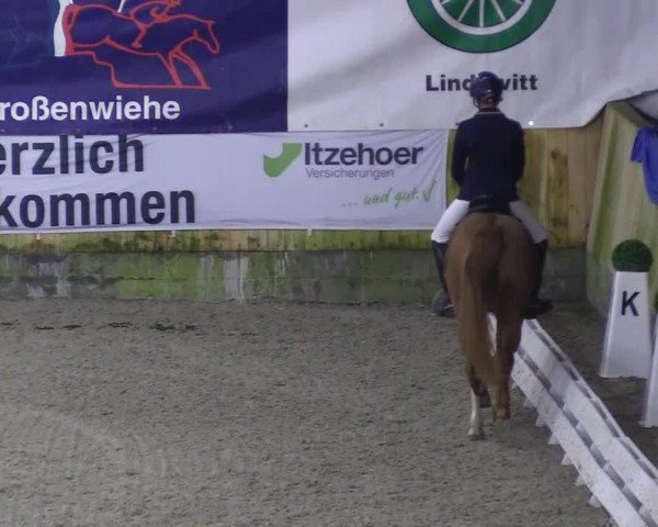 Reitturnier Großenwiehe 2022