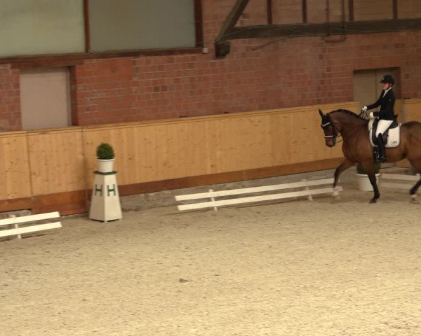 Reitturnier Hamburg-Friedrichshulde/Sylva Kuhrt 2022
