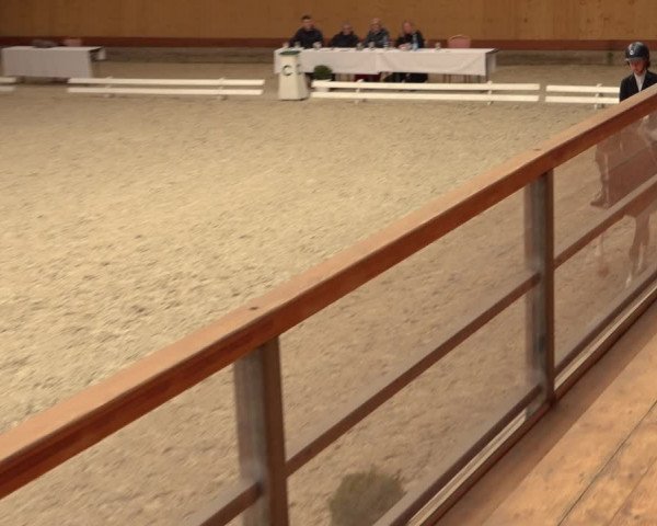 Reitturnier Hamburg-Friedrichshulde/Sylva Kuhrt 2022