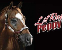 stallion Lil Ruf Peppy (Quarter Horse, 1991, from Peppy San Badger)