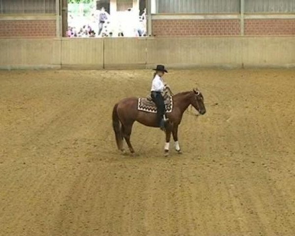 horse Sheza Custom Crome (Quarter Horse, 2005, from Custom Crome)