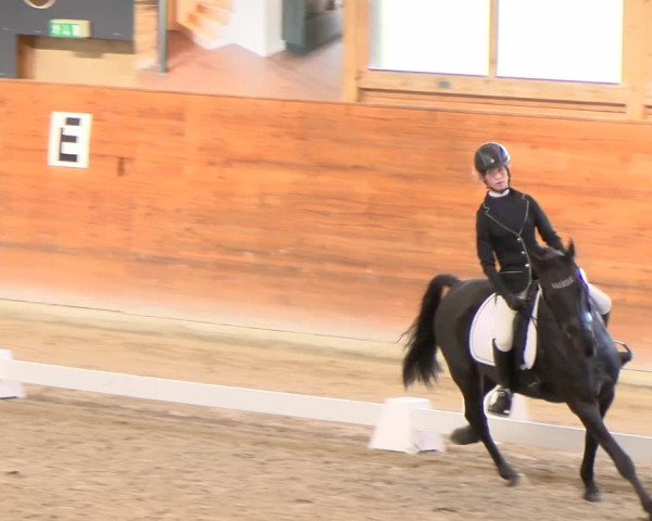 Reitturnier Rüti 2022