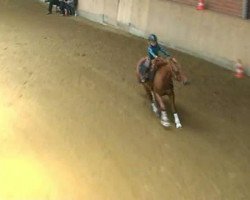 horse Smart Emily (Quarter Horse, 2002, from Sunny Little Lena)