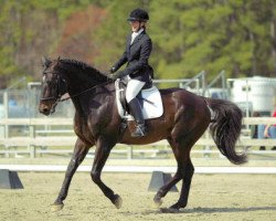 stallion Cossino (Bavarian, 1986, from Cosinus B)