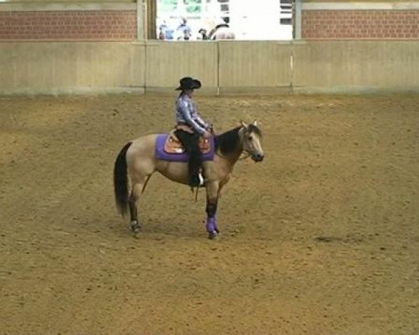 Pferd Little Peppy Skye (Quarter Horse, 2005, von Nics Peppy Train)