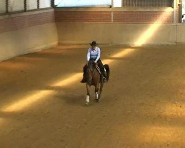 horse Snappers Rooster (Quarter Horse, 2007, from Burnt Starlight)