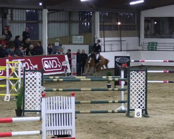 Reitturnier Marl 2022