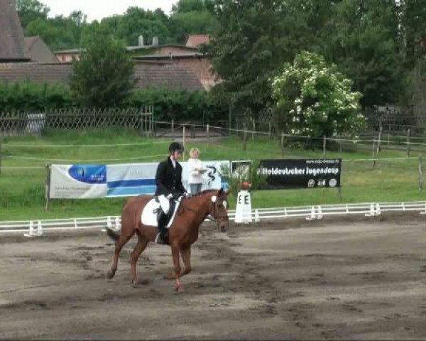 dressage horse Sidney 93 (German Riding Pony, 1997, from Samenco I B)