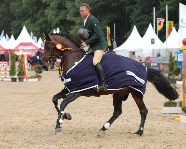 stallion Diego de Semilly (Holsteiner, 2010, from Diarado)