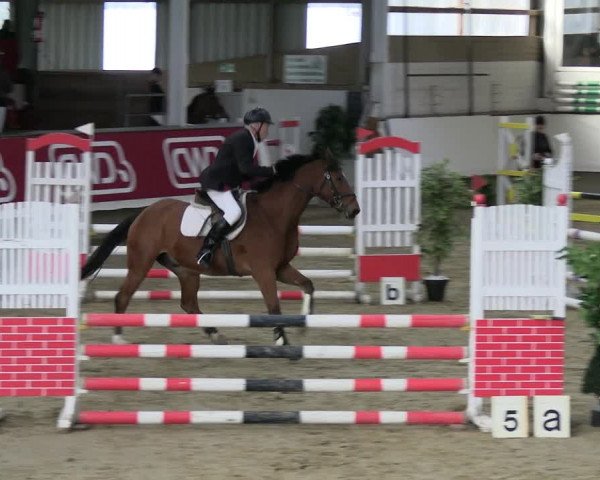 Reitturnier Marl 2022