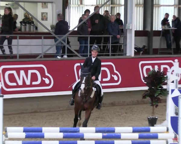 Reitturnier Marl 2022