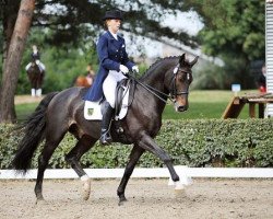 dressage horse Feuersturm 6 (Saxony-Anhaltiner, 1998, from Feldjunge)