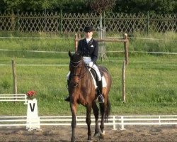 dressage horse Ustan (Sachse, 2001, from Ursprung)