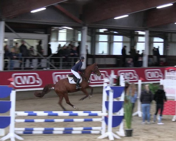 Reitturnier Marl 2022