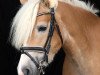 jumper Georgina Lana Voilac (Haflinger, 2016)