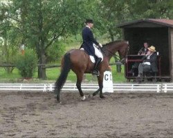 dressage horse London Lennox (Hanoverian, 2002, from Londonderry)