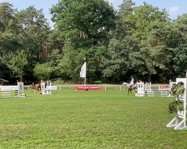 Video of Karibik Sun
