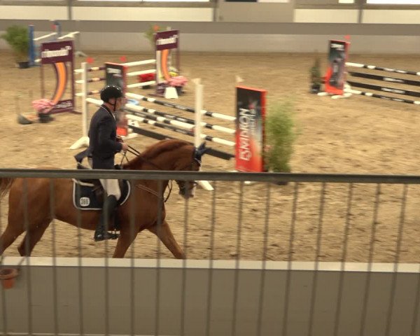 Reitturnier Luhmühlen 2022