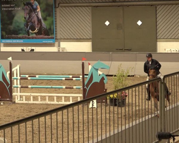 Reitturnier Luhmühlen 2022