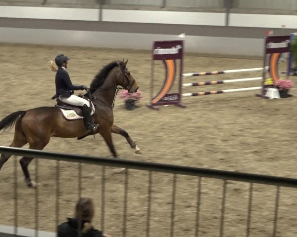 Reitturnier Luhmühlen 2022