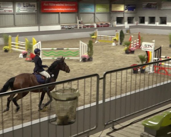 Reitturnier Luhmühlen 2022
