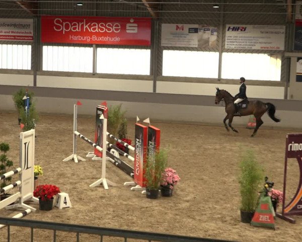Reitturnier Luhmühlen 2022