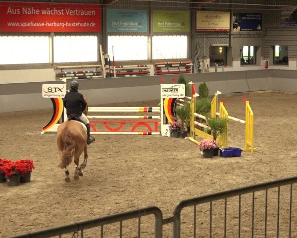 Reitturnier Luhmühlen 2022