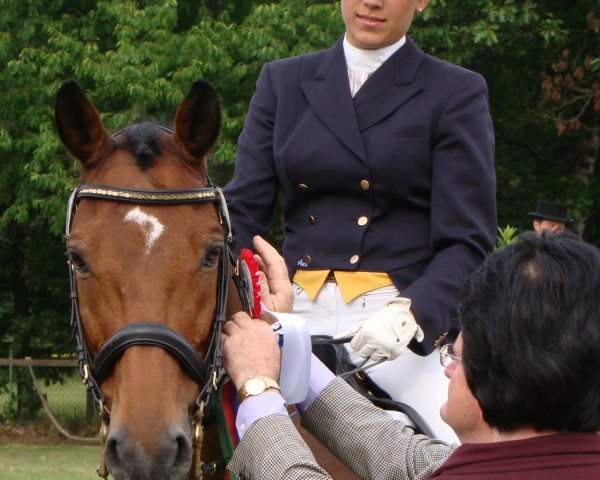 Dressurpferd Tabiano (Trakehner, 1996, von Sir Chamberlain)