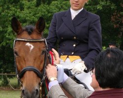 dressage horse Tabiano (Trakehner, 1996, from Sir Chamberlain)