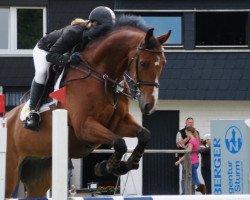 jumper Landsturm 16 (German Sport Horse, 2003, from Landjonker (Fruhling))