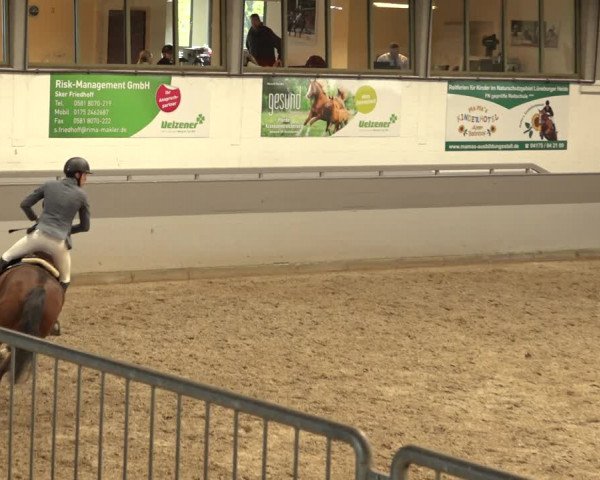 Reitturnier Luhmühlen 2022