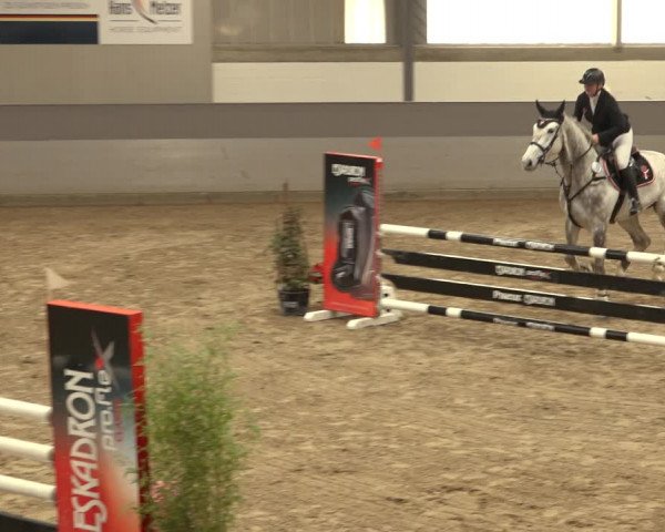 Reitturnier Luhmühlen 2022
