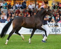 broodmare Waldrose RS (Oldenburg, 2018, from For Romance I)