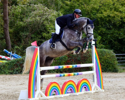 jumper Cannero L (Hanoverian, 2017, from Cristallo I)