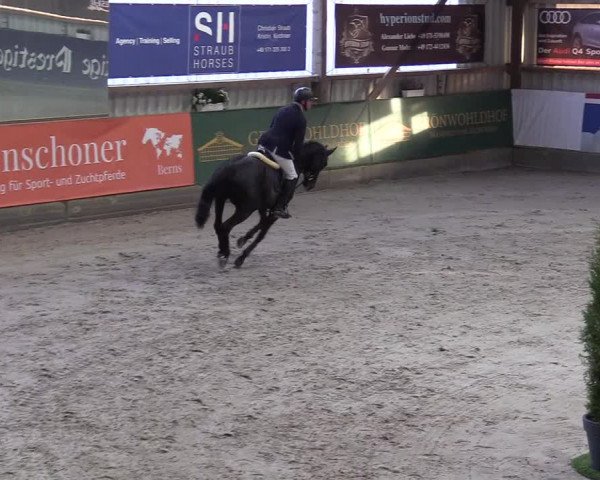 3. Nordic Jumping event Negernbötel 2022