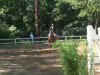 jumper Stakkaya (Hanoverian, 2006, from Stakkato)