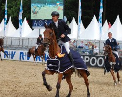 jumper Centagraaf Bvr (Oldenburg show jumper, 2010, from Centadel)