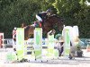 jumper Ilou 3 (Holsteiner, 2016, from Balou du Rouet)