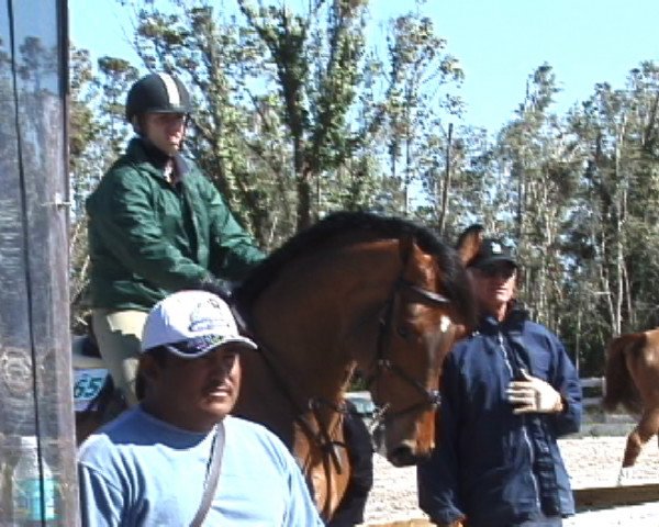 Pferd Ivenhoe CH (Württemberger, 1995, von Iberio)